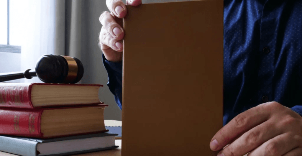 Credit Reporting Agencies and Debt Collection